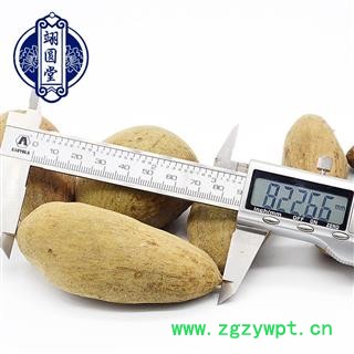 五倍子 肚倍选货 产地 四川省图3