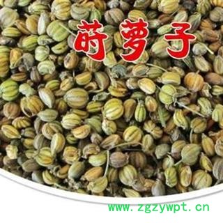 莳萝子 正品保证质量7天无理由退货退款 安品堂图2