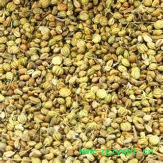 莳萝子 正品保证质量7天无理由退货退款 安品堂图4