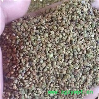 莳萝子 正品保证质量7天无理由退货退款 安品堂图3