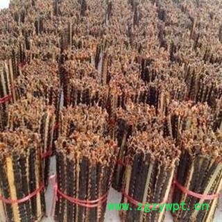 蜈蚣 统 产地 湖北省襄樊市图2