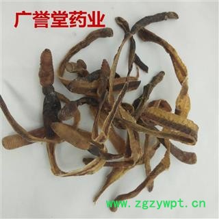 地龙 地龙统 上海 产地 上海市图4