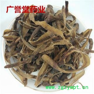 地龙 地龙统 上海 产地 上海市图2