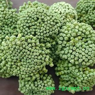 【中药材在哪里买三七花哪里买】中药材三七花批发正品三七花是什么三七花多少钱三七花在哪里有卖的三七花哪里买三七花泡水三七花别名田七花品种齐全安国市场批发零售大全中药材诚实通店铺图2