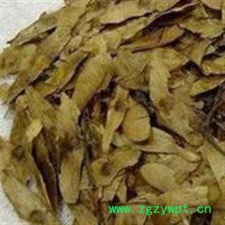 吉康药业凤眼草 无污染  干净新货图2