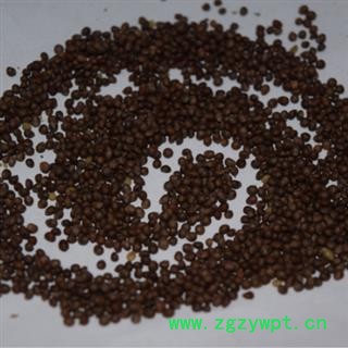 新辉药业正品中药材紫苏子 苏子图3