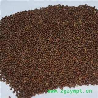 新辉药业正品中药材紫苏子 苏子图2