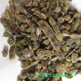 新辉药业中药材槐角 槐豆  新货槐连 槐子  新货无硫图2