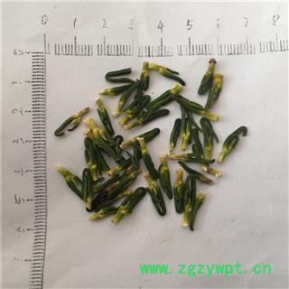 新辉药业中药材莲子心 优质调料图2