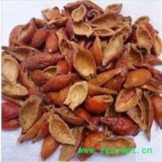 新辉药业优质金樱子 糖罐子 刺头图3