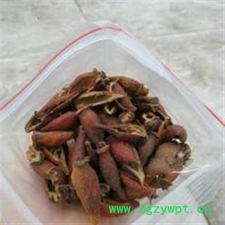 新辉药业优质金樱子 糖罐子 刺头图2