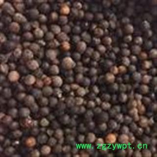 新辉药业正品樟树籽 樟树子图2