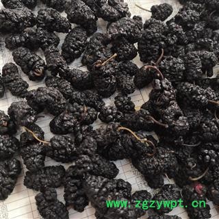 新辉药业优质桑葚子 桑葚果 茶用级图3