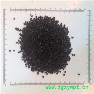 新辉药业正品中药材补骨脂 破故纸 黑故子图2