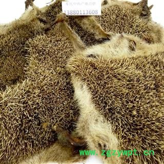 刺猬皮 生刺猬皮 整块 选货 产地 山东省济宁市微山县 邓氏图4