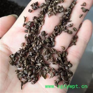 新辉药业绿豆衣 绿豆皮  另有扁豆衣图2