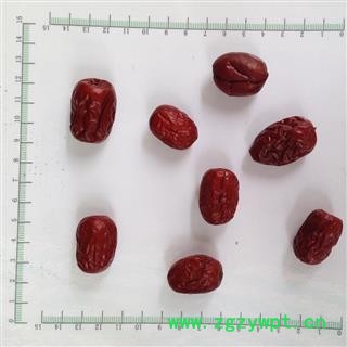 新辉药业优质沧州小枣 沧州金丝小枣图2