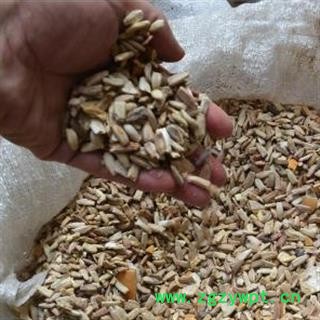 新辉药业抽葫芦 葫芦籽图2