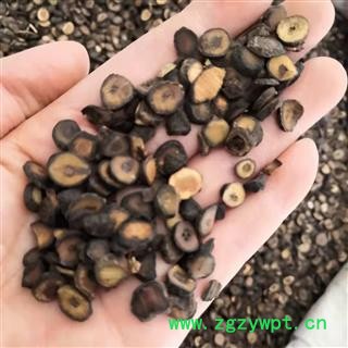 新辉药业枳实  江西小枳实多种枳实  另有青皮图2