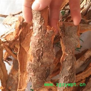 新辉药业正品木李  李根白皮  山里子根图2