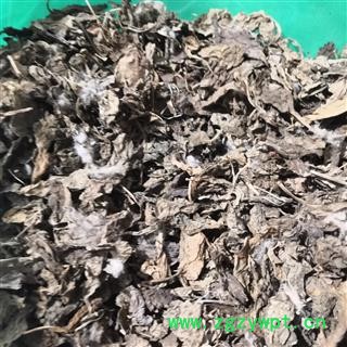 新辉药业 枸杞 枸杞叶图2