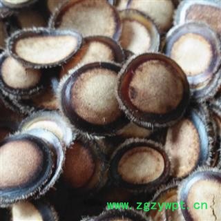 人工驯养鹿茸 鹿茸蜡片， 产地 吉林省白山市抚松县