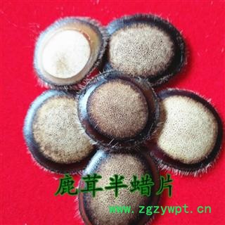 人工驯养鹿茸 鹿茸蜡片， 产地 吉林省白山市抚松县图2