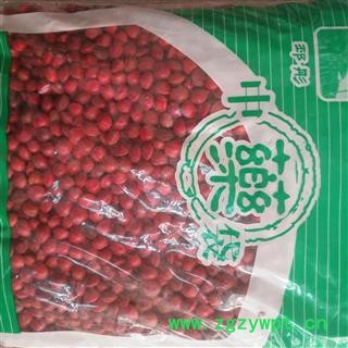 新辉药业红豆 相思豆  美人豆 孔雀豆图3