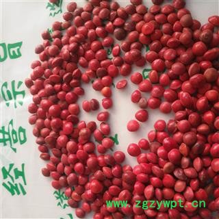 新辉药业红豆 相思豆  美人豆 孔雀豆图2