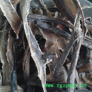 地龙 大个 产地 广西壮族自治区百色市乐业县图2