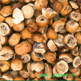 新辉药业正品川楝子  金铃子 川楝实图2