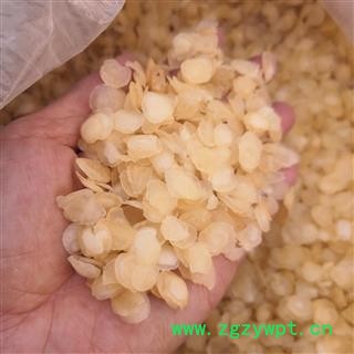 新辉药业药食两用大皂荚 皂角米 雪莲子图2