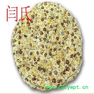 菊花 杭菊花图2