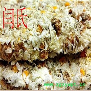 菊花 杭菊花图4