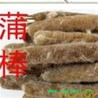 冷备中药材 蒲棒 天然正品 促销图2
