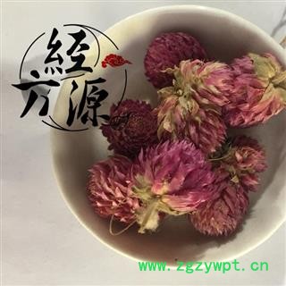 千日红B 火球花、百日红 统 产地 云南省图2