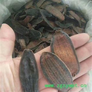 京辉药业 水蛭 清水图2