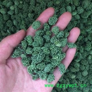 三七花 两年生三七花无柄小选货 产地 云南省图4