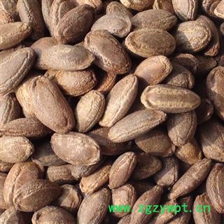 瓜蒌子 单边瓜蒌子 国药堂 专注品质 产地 山东省图2