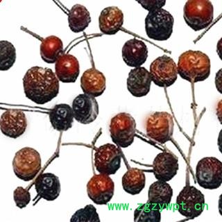 煜庭药业 营实图4