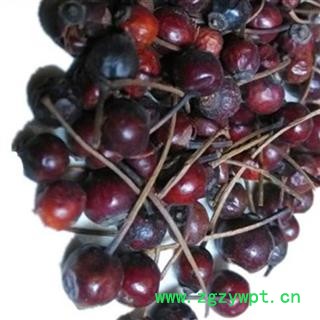 煜庭药业 营实图2