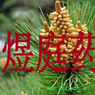 煜庭药业 松花粉图2