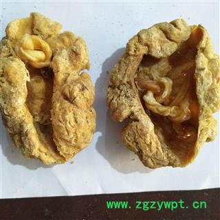 紫河车 正品胎盘一公斤10个左右 产地 山东省图3