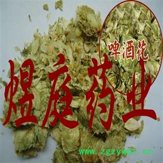 煜庭药业 忽布、香蛇麻、野酒花 啤酒花图3