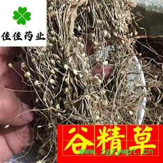 谷精草 好统 产地 湖南省 正品 新货 供应各类中药材 冷背货 矿石等图4