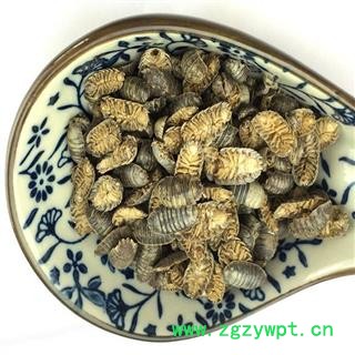 煜庭药业 鼠妇虫 潮虫 潮湿虫、潮虫、地虱婆、鼠负、负蟠、鼠姑、鼠粘，湿生虫、地鸡图4