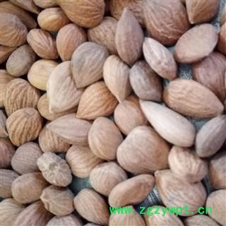 杏仁 苦杏仁选货 产地 河北省 国药堂 专注品质图2