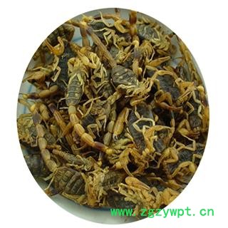 煜庭药业 全蝎,全虫,盐水大蝎子图4