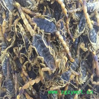 煜庭药业 全蝎,全虫,盐水大蝎子图2