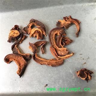 皱木瓜 统片 2021产地 湖北省荆门市沙洋县图2